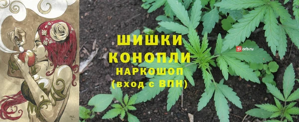 бутират Богородицк