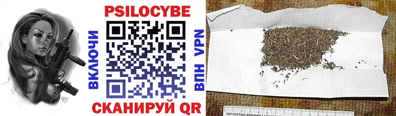купить   Донской  Галлюциногенные грибы Cubensis 